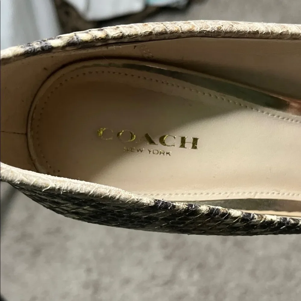 Coach Beige and Black Snakeskin Heels Size 8-1/2 EUC